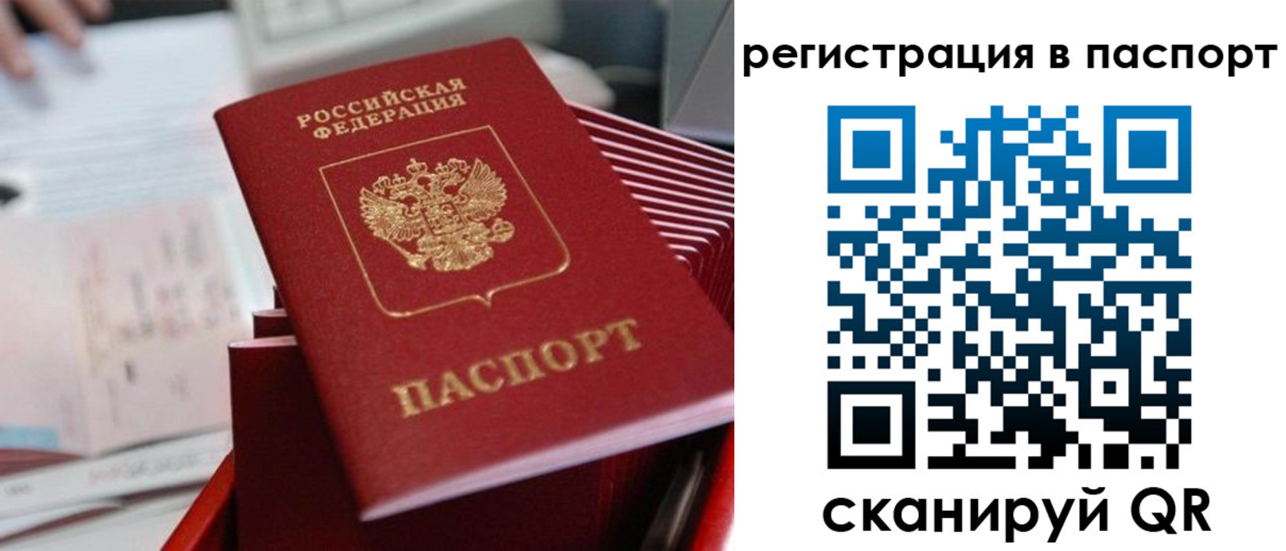 прописка поиск в Берёзовском